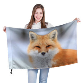 Флаг 3D с принтом Лиса в Новосибирске, 100% полиэстер | плотность ткани — 95 г/м2, размер — 67 х 109 см. Принт наносится с одной стороны | animal | fox | look | predator | red | sly | wild | взгляд | дикая | животное | лиса | рыжая | хитрая | хищник