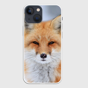 Чехол для iPhone 13 mini с принтом Лиса в Новосибирске,  |  | animal | fox | look | predator | red | sly | wild | взгляд | дикая | животное | лиса | рыжая | хитрая | хищник