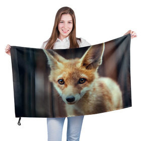 Флаг 3D с принтом Лиса в Новосибирске, 100% полиэстер | плотность ткани — 95 г/м2, размер — 67 х 109 см. Принт наносится с одной стороны | animal | baby | fox | look | predator | red | sly | wild | взгляд | дикая | животное | лиса | малыш | рыжая | хитрая | хищник