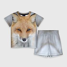 Детский костюм с шортами 3D с принтом Лиса в Новосибирске,  |  | animal | baby | fox | look | predator | red | sly | wild | взгляд | дикая | животное | лиса | малыш | рыжая | хитрая | хищник
