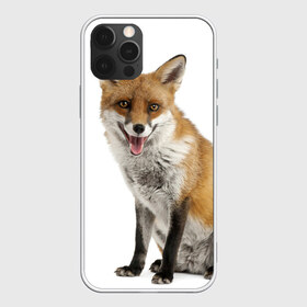 Чехол для iPhone 12 Pro Max с принтом Лиса в Новосибирске, Силикон |  | Тематика изображения на принте: animal | baby | fox | look | predator | red | sly | wild | взгляд | дикая | животное | лиса | малыш | рыжая | хитрая | хищник