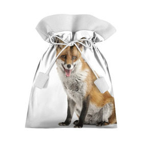 Подарочный 3D мешок с принтом Лиса в Новосибирске, 100% полиэстер | Размер: 29*39 см | Тематика изображения на принте: animal | baby | fox | look | predator | red | sly | wild | взгляд | дикая | животное | лиса | малыш | рыжая | хитрая | хищник