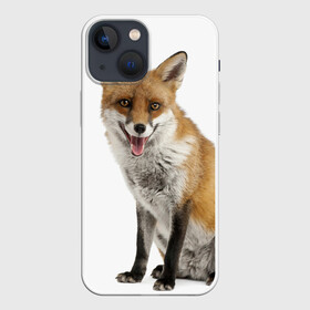 Чехол для iPhone 13 mini с принтом Лиса в Новосибирске,  |  | animal | baby | fox | look | predator | red | sly | wild | взгляд | дикая | животное | лиса | малыш | рыжая | хитрая | хищник