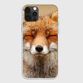 Чехол для iPhone 12 Pro Max с принтом Лиса в Новосибирске, Силикон |  | Тематика изображения на принте: animal | baby | fox | look | predator | red | sly | wild | взгляд | дикая | животное | лиса | малыш | рыжая | хитрая | хищник