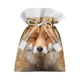 Подарочный 3D мешок с принтом Лиса в Новосибирске, 100% полиэстер | Размер: 29*39 см | Тематика изображения на принте: animal | baby | fox | look | predator | red | sly | wild | взгляд | дикая | животное | лиса | малыш | рыжая | хитрая | хищник