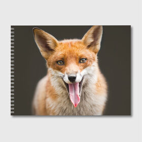 Альбом для рисования с принтом Лиса в Новосибирске, 100% бумага
 | матовая бумага, плотность 200 мг. | Тематика изображения на принте: animal | fox | look | predator | red | sly | wild | взгляд | дикая | животное | лиса | рыжая | хитрая | хищник