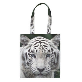 Сумка 3D повседневная с принтом Белый тигр в Новосибирске, 100% полиэстер | Плотность: 200 г/м2; Размер: 34×35 см; Высота лямок: 30 см | Тематика изображения на принте: animal | jungle | look | predator | tiger | white | wild | белый | взгляд | джунгли | дикий | животное | тигр | хищник