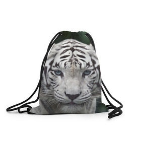 Рюкзак-мешок 3D с принтом Белый тигр в Новосибирске, 100% полиэстер | плотность ткани — 200 г/м2, размер — 35 х 45 см; лямки — толстые шнурки, застежка на шнуровке, без карманов и подкладки | animal | jungle | look | predator | tiger | white | wild | белый | взгляд | джунгли | дикий | животное | тигр | хищник
