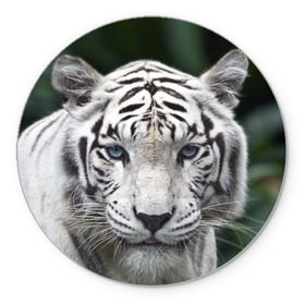 Коврик круглый с принтом Белый тигр в Новосибирске, резина и полиэстер | круглая форма, изображение наносится на всю лицевую часть | animal | jungle | look | predator | tiger | white | wild | белый | взгляд | джунгли | дикий | животное | тигр | хищник