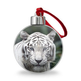 Ёлочный шар с принтом Белый тигр в Новосибирске, Пластик | Диаметр: 77 мм | Тематика изображения на принте: animal | jungle | look | predator | tiger | white | wild | белый | взгляд | джунгли | дикий | животное | тигр | хищник