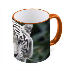 Кружка 3D с принтом Белый тигр в Новосибирске, керамика | ёмкость 330 мл | Тематика изображения на принте: animal | jungle | look | predator | tiger | white | wild | белый | взгляд | джунгли | дикий | животное | тигр | хищник