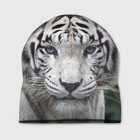 Шапка 3D с принтом Белый тигр в Новосибирске, 100% полиэстер | универсальный размер, печать по всей поверхности изделия | animal | jungle | look | predator | tiger | white | wild | белый | взгляд | джунгли | дикий | животное | тигр | хищник
