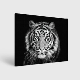 Холст прямоугольный с принтом Тигр в Новосибирске, 100% ПВХ |  | animal | black   white | look | predator | tiger | wild | взгляд | дикий | животное | тигр | хищник | черно   белый