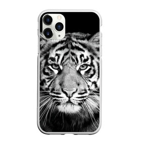 Чехол для iPhone 11 Pro матовый с принтом Тигр в Новосибирске, Силикон |  | animal | black   white | look | predator | tiger | wild | взгляд | дикий | животное | тигр | хищник | черно   белый