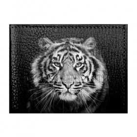 Обложка для студенческого билета с принтом Тигр в Новосибирске, натуральная кожа | Размер: 11*8 см; Печать на всей внешней стороне | Тематика изображения на принте: animal | black   white | look | predator | tiger | wild | взгляд | дикий | животное | тигр | хищник | черно   белый