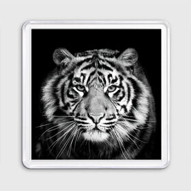 Магнит 55*55 с принтом Тигр в Новосибирске, Пластик | Размер: 65*65 мм; Размер печати: 55*55 мм | animal | black   white | look | predator | tiger | wild | взгляд | дикий | животное | тигр | хищник | черно   белый