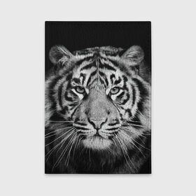 Обложка для автодокументов с принтом Тигр в Новосибирске, натуральная кожа |  размер 19,9*13 см; внутри 4 больших “конверта” для документов и один маленький отдел — туда идеально встанут права | Тематика изображения на принте: animal | black   white | look | predator | tiger | wild | взгляд | дикий | животное | тигр | хищник | черно   белый