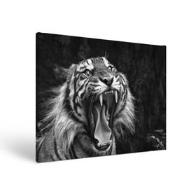 Холст прямоугольный с принтом Тигр в Новосибирске, 100% ПВХ |  | Тематика изображения на принте: animal | black   white | fangs | jaws | jungle | predator | teeth | tiger | wild | джунгли | дикий | животное | клыки | оскал | пасть | тигр | хищник | черно   белый
