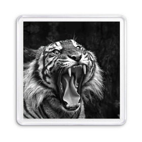 Магнит 55*55 с принтом Тигр в Новосибирске, Пластик | Размер: 65*65 мм; Размер печати: 55*55 мм | animal | black   white | fangs | jaws | jungle | predator | teeth | tiger | wild | джунгли | дикий | животное | клыки | оскал | пасть | тигр | хищник | черно   белый