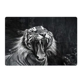 Магнитный плакат 3Х2 с принтом Тигр в Новосибирске, Полимерный материал с магнитным слоем | 6 деталей размером 9*9 см | Тематика изображения на принте: animal | black   white | fangs | jaws | jungle | predator | teeth | tiger | wild | джунгли | дикий | животное | клыки | оскал | пасть | тигр | хищник | черно   белый