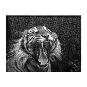 Обложка для студенческого билета с принтом Тигр в Новосибирске, натуральная кожа | Размер: 11*8 см; Печать на всей внешней стороне | animal | black   white | fangs | jaws | jungle | predator | teeth | tiger | wild | джунгли | дикий | животное | клыки | оскал | пасть | тигр | хищник | черно   белый