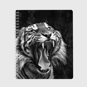 Тетрадь с принтом Тигр в Новосибирске, 100% бумага | 48 листов, плотность листов — 60 г/м2, плотность картонной обложки — 250 г/м2. Листы скреплены сбоку удобной пружинной спиралью. Уголки страниц и обложки скругленные. Цвет линий — светло-серый
 | animal | black   white | fangs | jaws | jungle | predator | teeth | tiger | wild | джунгли | дикий | животное | клыки | оскал | пасть | тигр | хищник | черно   белый