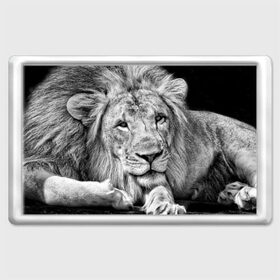 Магнит 45*70 с принтом Лев в Новосибирске, Пластик | Размер: 78*52 мм; Размер печати: 70*45 | animal | black   white | king | lies | lion | look | predator | wild | взгляд | дикий | животное | зверь | лев | лежит | хищник | царь | черно   белый