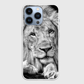 Чехол для iPhone 13 Pro с принтом Лев в Новосибирске,  |  | animal | black   white | king | lies | lion | look | predator | wild | взгляд | дикий | животное | зверь | лев | лежит | хищник | царь | черно   белый