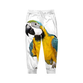 Детские брюки 3D с принтом Попугай ара в Новосибирске, 100% полиэстер | манжеты по низу, эластичный пояс регулируется шнурком, по бокам два кармана без застежек, внутренняя часть кармана из мелкой сетки | желтый | птица | синий | экзотика