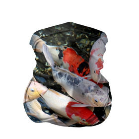Бандана-труба 3D с принтом Koi Fish (карпы кои) в Новосибирске, 100% полиэстер, ткань с особыми свойствами — Activecool | плотность 150‒180 г/м2; хорошо тянется, но сохраняет форму | bright | brocade | carp | color | decorative | depth | exotic | fish | koi | koi fish | sea | water | вода | глубина | декоративные | карпы | кои | море | парчовый | рыбки | цвет | экзотические | яркий