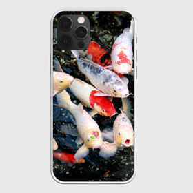 Чехол для iPhone 12 Pro с принтом Koi Fish (карпы кои) в Новосибирске, силикон | область печати: задняя сторона чехла, без боковых панелей | bright | brocade | carp | color | decorative | depth | exotic | fish | koi | koi fish | sea | water | вода | глубина | декоративные | карпы | кои | море | парчовый | рыбки | цвет | экзотические | яркий