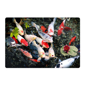 Магнитный плакат 3Х2 с принтом Koi Fish (карпы кои) в Новосибирске, Полимерный материал с магнитным слоем | 6 деталей размером 9*9 см | bright | brocade | carp | color | decorative | depth | exotic | fish | koi | koi fish | sea | water | вода | глубина | декоративные | карпы | кои | море | парчовый | рыбки | цвет | экзотические | яркий