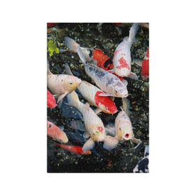 Обложка для паспорта матовая кожа с принтом Koi Fish (карпы кои) в Новосибирске, натуральная матовая кожа | размер 19,3 х 13,7 см; прозрачные пластиковые крепления | Тематика изображения на принте: bright | brocade | carp | color | decorative | depth | exotic | fish | koi | koi fish | sea | water | вода | глубина | декоративные | карпы | кои | море | парчовый | рыбки | цвет | экзотические | яркий
