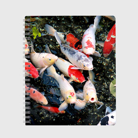 Тетрадь с принтом Koi Fish (карпы кои) в Новосибирске, 100% бумага | 48 листов, плотность листов — 60 г/м2, плотность картонной обложки — 250 г/м2. Листы скреплены сбоку удобной пружинной спиралью. Уголки страниц и обложки скругленные. Цвет линий — светло-серый
 | Тематика изображения на принте: bright | brocade | carp | color | decorative | depth | exotic | fish | koi | koi fish | sea | water | вода | глубина | декоративные | карпы | кои | море | парчовый | рыбки | цвет | экзотические | яркий