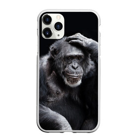Чехол для iPhone 11 Pro матовый с принтом ЕГЭ в Новосибирске, Силикон |  | егэ | обезьяна | шимпанзе | школа | экзамен | экзамены