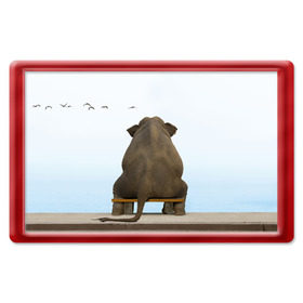 Магнит 45*70 с принтом Слон и журавли в Новосибирске, Пластик | Размер: 78*52 мм; Размер печати: 70*45 | bench | coast | cranes | dream | elephant | flight | sea | sitting | берег | журавли | мечты | море | полет | сидит | скамейка | слон