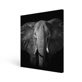 Холст квадратный с принтом Слон в Новосибирске, 100% ПВХ |  | animal | big | black   white | elephant | wild | большой | дикий | животное | слон | черно   белый