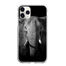 Чехол для iPhone 11 Pro матовый с принтом Слон в Новосибирске, Силикон |  | Тематика изображения на принте: animal | big | black   white | elephant | wild | большой | дикий | животное | слон | черно   белый