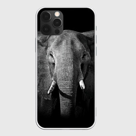 Чехол для iPhone 12 Pro Max с принтом Слон в Новосибирске, Силикон |  | Тематика изображения на принте: animal | big | black   white | elephant | wild | большой | дикий | животное | слон | черно   белый