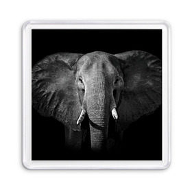 Магнит 55*55 с принтом Слон в Новосибирске, Пластик | Размер: 65*65 мм; Размер печати: 55*55 мм | animal | big | black   white | elephant | wild | большой | дикий | животное | слон | черно   белый