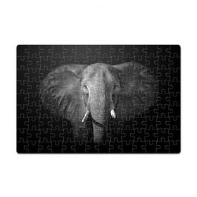 Пазл магнитный 126 элементов с принтом Слон в Новосибирске, полимерный материал с магнитным слоем | 126 деталей, размер изделия —  180*270 мм | animal | big | black   white | elephant | wild | большой | дикий | животное | слон | черно   белый