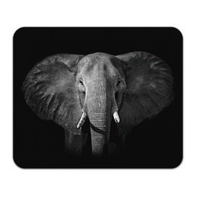 Коврик прямоугольный с принтом Слон в Новосибирске, натуральный каучук | размер 230 х 185 мм; запечатка лицевой стороны | animal | big | black   white | elephant | wild | большой | дикий | животное | слон | черно   белый