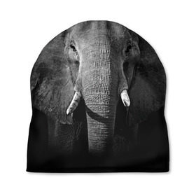 Шапка 3D с принтом Слон в Новосибирске, 100% полиэстер | универсальный размер, печать по всей поверхности изделия | animal | big | black   white | elephant | wild | большой | дикий | животное | слон | черно   белый