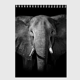 Скетчбук с принтом Слон в Новосибирске, 100% бумага
 | 48 листов, плотность листов — 100 г/м2, плотность картонной обложки — 250 г/м2. Листы скреплены сверху удобной пружинной спиралью | animal | big | black   white | elephant | wild | большой | дикий | животное | слон | черно   белый