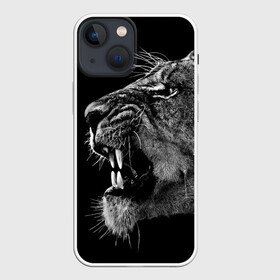 Чехол для iPhone 13 mini с принтом Львица в Новосибирске,  |  | animal | fangs | head | lion | lioness | predator | teeth | wild | голова | дикая | животное | клыки | лев | львица | оскал | хищник