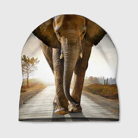 Шапка 3D с принтом Слон в Новосибирске, 100% полиэстер | универсальный размер, печать по всей поверхности изделия | africa | animal | big | elephant | go | road | savannah | wild | африка | большой | дикий | дорога | животное | идет | саванна | слон