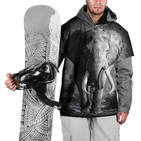 Накидка на куртку 3D с принтом Слон в Новосибирске, 100% полиэстер |  | Тематика изображения на принте: africa | animal | big | black   white | elephant | go | road | savannah | wild | африка | большой | дикий | дорога | животное | идет | саванна | слон | черно   белый
