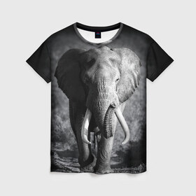 Женская футболка 3D с принтом Слон в Новосибирске, 100% полиэфир ( синтетическое хлопкоподобное полотно) | прямой крой, круглый вырез горловины, длина до линии бедер | africa | animal | big | black   white | elephant | go | road | savannah | wild | африка | большой | дикий | дорога | животное | идет | саванна | слон | черно   белый
