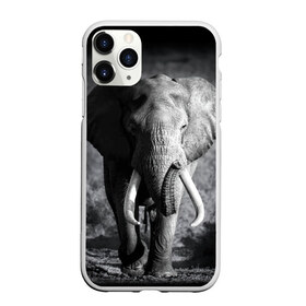 Чехол для iPhone 11 Pro матовый с принтом Слон в Новосибирске, Силикон |  | africa | animal | big | black   white | elephant | go | road | savannah | wild | африка | большой | дикий | дорога | животное | идет | саванна | слон | черно   белый