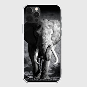 Чехол для iPhone 12 Pro Max с принтом Слон в Новосибирске, Силикон |  | africa | animal | big | black   white | elephant | go | road | savannah | wild | африка | большой | дикий | дорога | животное | идет | саванна | слон | черно   белый
